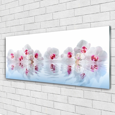 Image sur verre Tableau Fleurs art blanc rouge