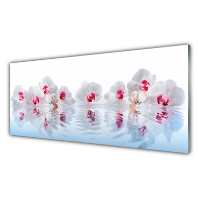 Image sur verre Tableau Fleurs art blanc rouge