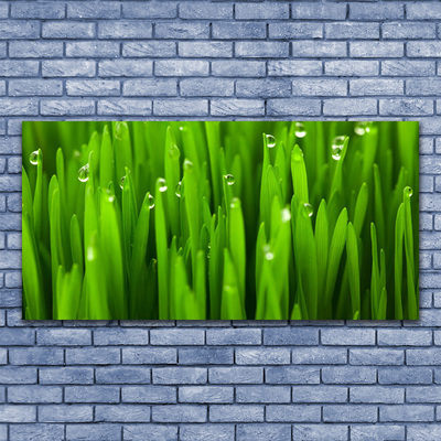 Image sur verre Tableau Herbe nature vert