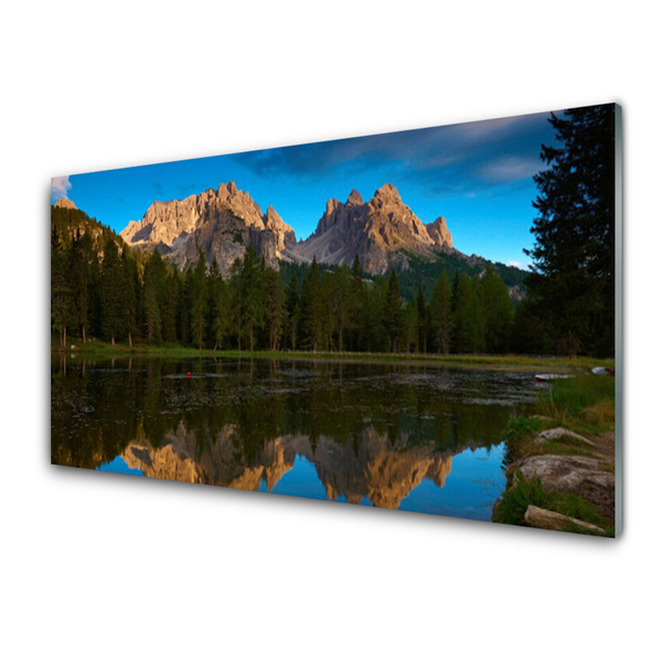 Image sur verre Tableau Forêt lac paysage vert bleu