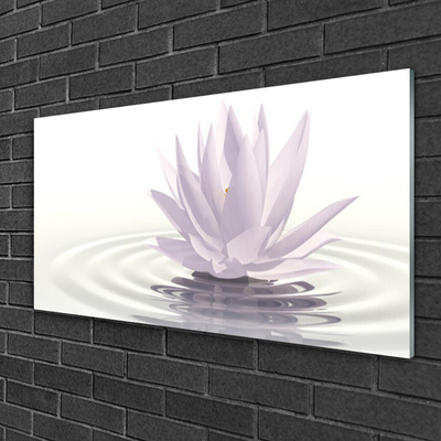 Image sur verre Tableau Fleur eau art blanc