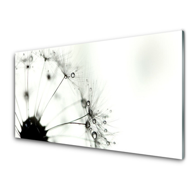 Image sur verre Tableau Pissenlit floral gris noir