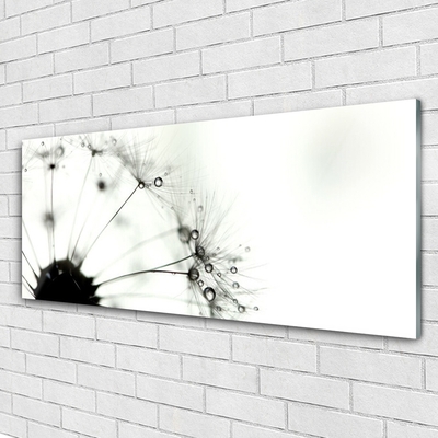 Image sur verre Tableau Pissenlit floral gris noir