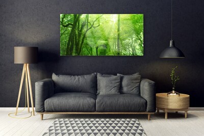 Image sur verre Tableau Arbres nature brun vert
