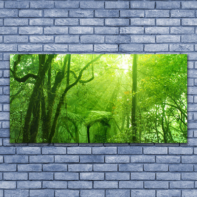 Image sur verre Tableau Arbres nature brun vert
