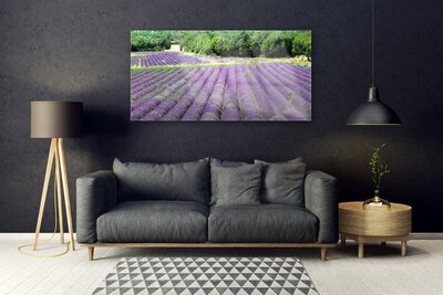 Image sur verre Tableau Fleurs prairie nature violet vert