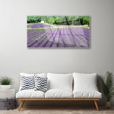 Image sur verre Tableau Fleurs prairie nature violet vert