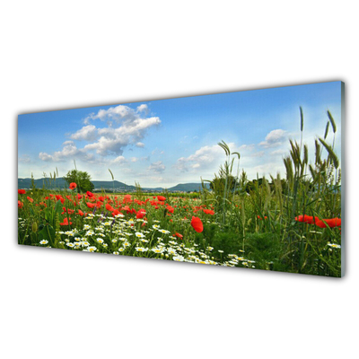Tableaux sur verre Fleurs prairie nature vert rouge blanc