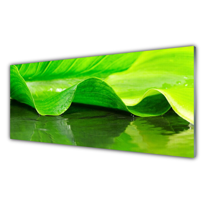 Tableaux sur verre Feuille floral vert
