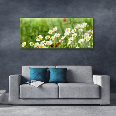 Tableaux sur verre Marguerite nature jaune blanc