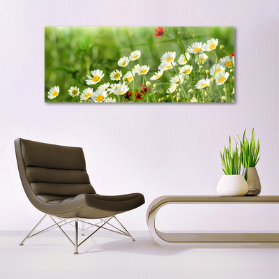 Tableaux sur verre Marguerite nature jaune blanc