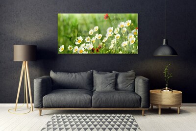 Tableaux sur verre Marguerite nature jaune blanc