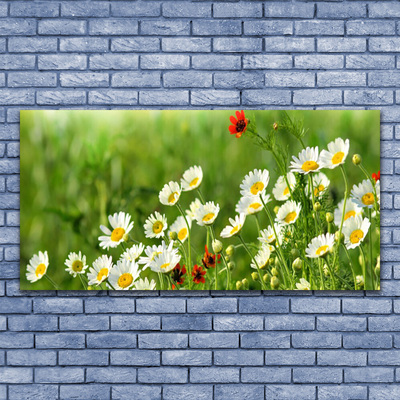 Tableaux sur verre Marguerite nature jaune blanc