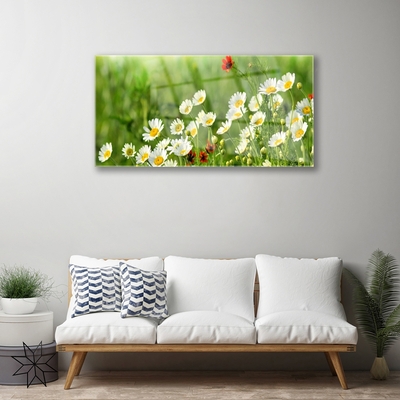 Tableaux sur verre Marguerite nature jaune blanc