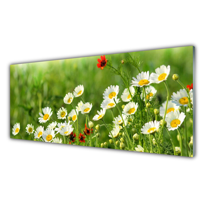 Tableaux sur verre Marguerite nature jaune blanc