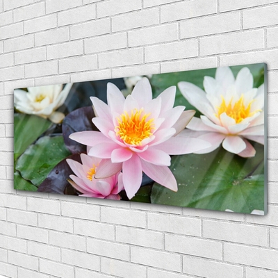 Tableaux sur verre Fleurs floral jaune rose