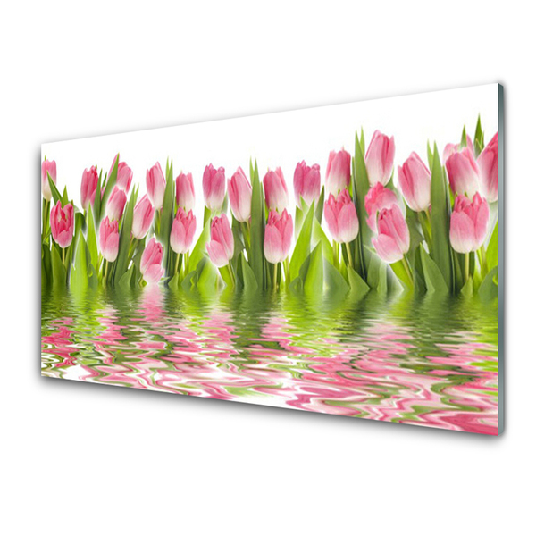 Tableaux sur verre Tulipes floral rose vert