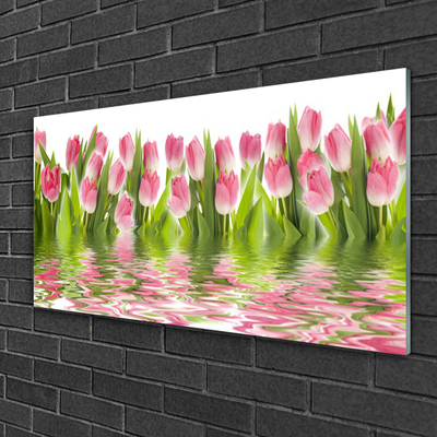 Tableaux sur verre Tulipes floral rose vert