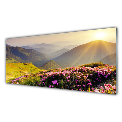 Tableaux sur verre Prairie montagne paysage vert rose gris