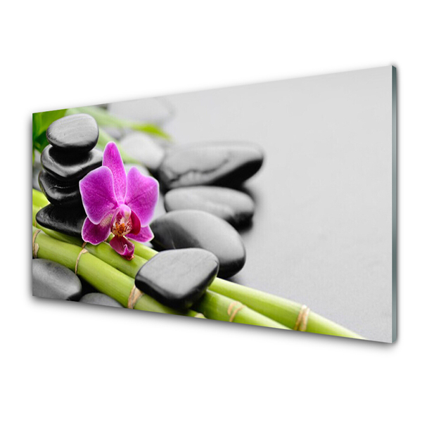 Tableaux sur verre Pierres fleurs bambou art vert rose noir