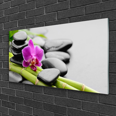 Tableaux sur verre Pierres fleurs bambou art vert rose noir