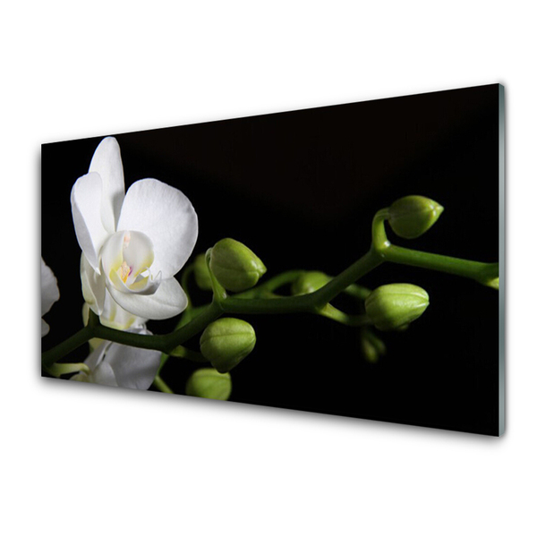 Tableaux sur verre Fleur floral blanc