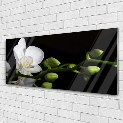 Tableaux sur verre Fleur floral blanc