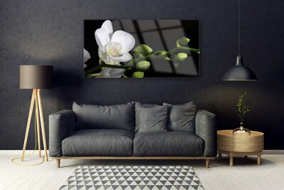 Tableaux sur verre Fleur floral blanc