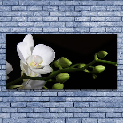 Tableaux sur verre Fleur floral blanc