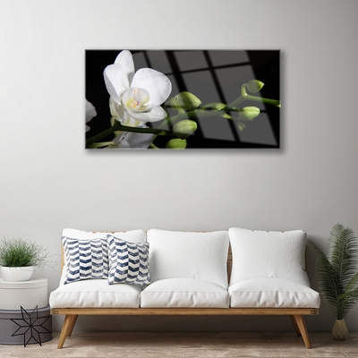 Tableaux sur verre Fleur floral blanc