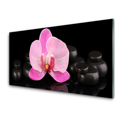 Tableaux sur verre Pierres fleurs floral rose noir