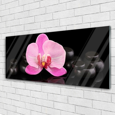 Tableaux sur verre Pierres fleurs floral rose noir