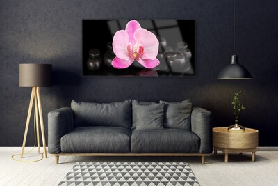 Tableaux sur verre Pierres fleurs floral rose noir