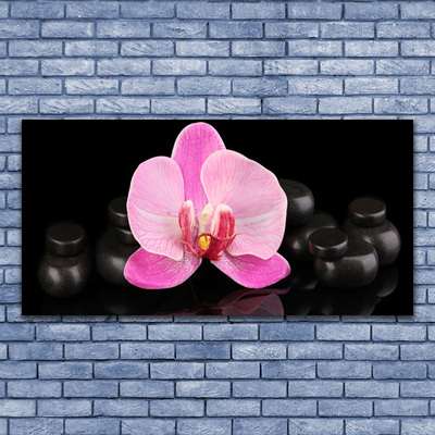 Tableaux sur verre Pierres fleurs floral rose noir