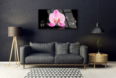 Tableaux sur verre Pierres fleurs floral rose noir