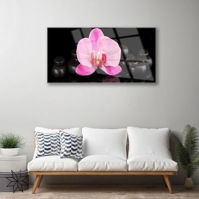 Tableaux sur verre Pierres fleurs floral rose noir