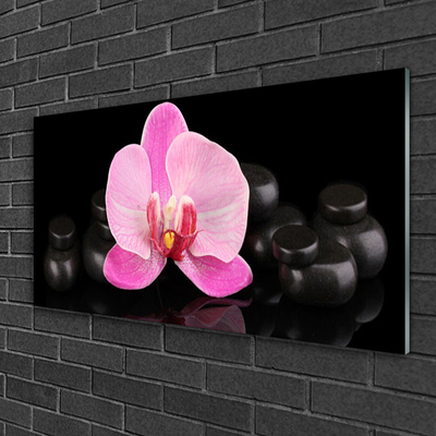 Tableaux sur verre Pierres fleurs floral rose noir