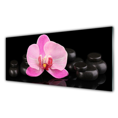 Tableaux sur verre Pierres fleurs floral rose noir