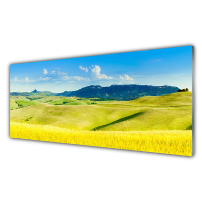 Tableaux sur verre Montagnes champs paysage vert bleu