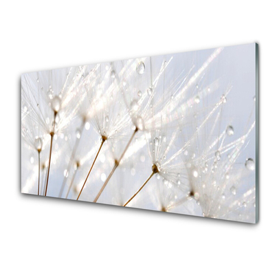 Tableaux sur verre Pissenlit floral blanc