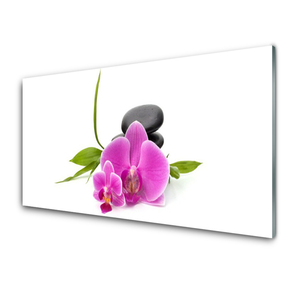 Tableaux sur verre Pierres fleurs floral rose noir