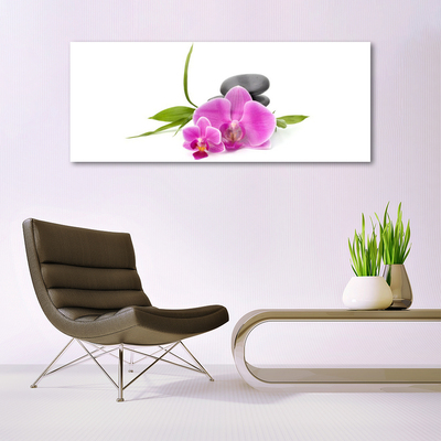 Tableaux sur verre Pierres fleurs floral rose noir