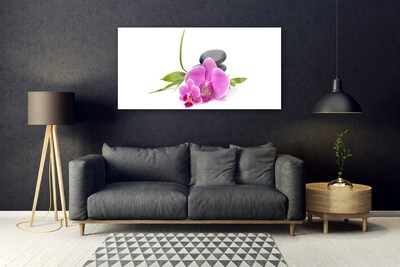 Tableaux sur verre Pierres fleurs floral rose noir