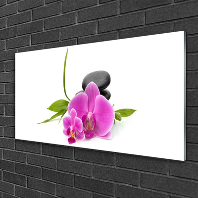 Tableaux sur verre Pierres fleurs floral rose noir