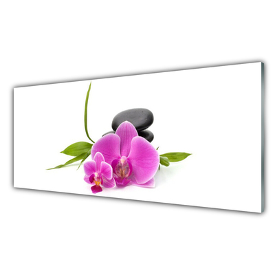 Tableaux sur verre Pierres fleurs floral rose noir