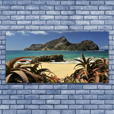 Tableaux sur verre Plage rochers mer paysage brun bleu gris