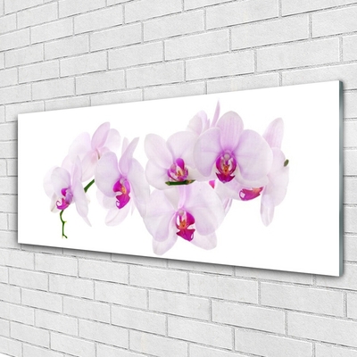 Tableaux sur verre Fleurs floral rose