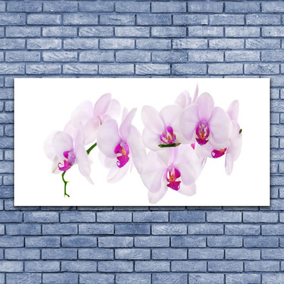 Tableaux sur verre Fleurs floral rose