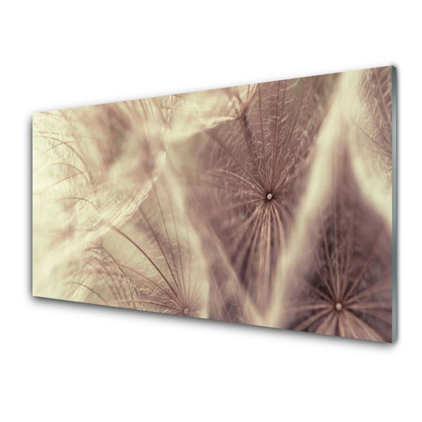 Tableaux sur verre Pissenlit floral gris