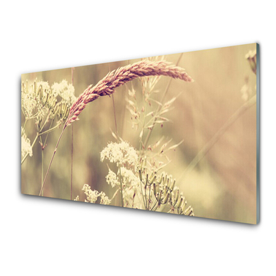 Tableaux sur verre Plantes sauvages floral blanc brun